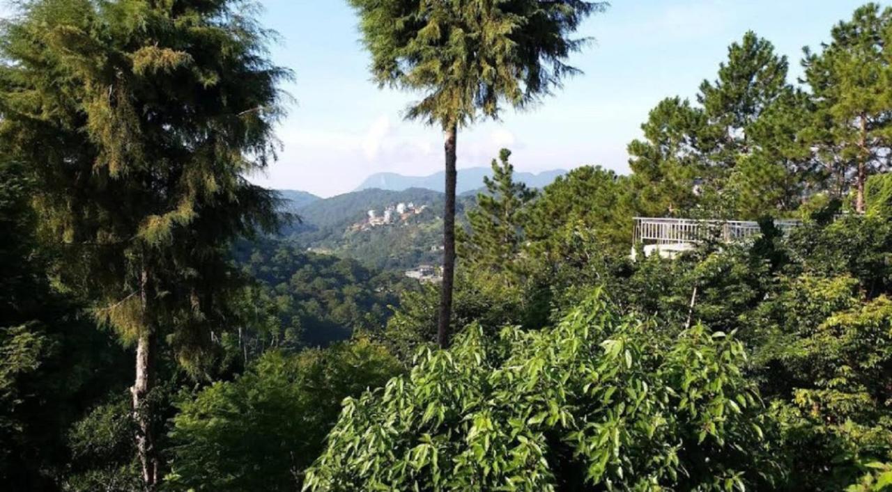Villa Dieu Thong - Secrect Garden, view săn mây và núi Da Lat Exterior foto