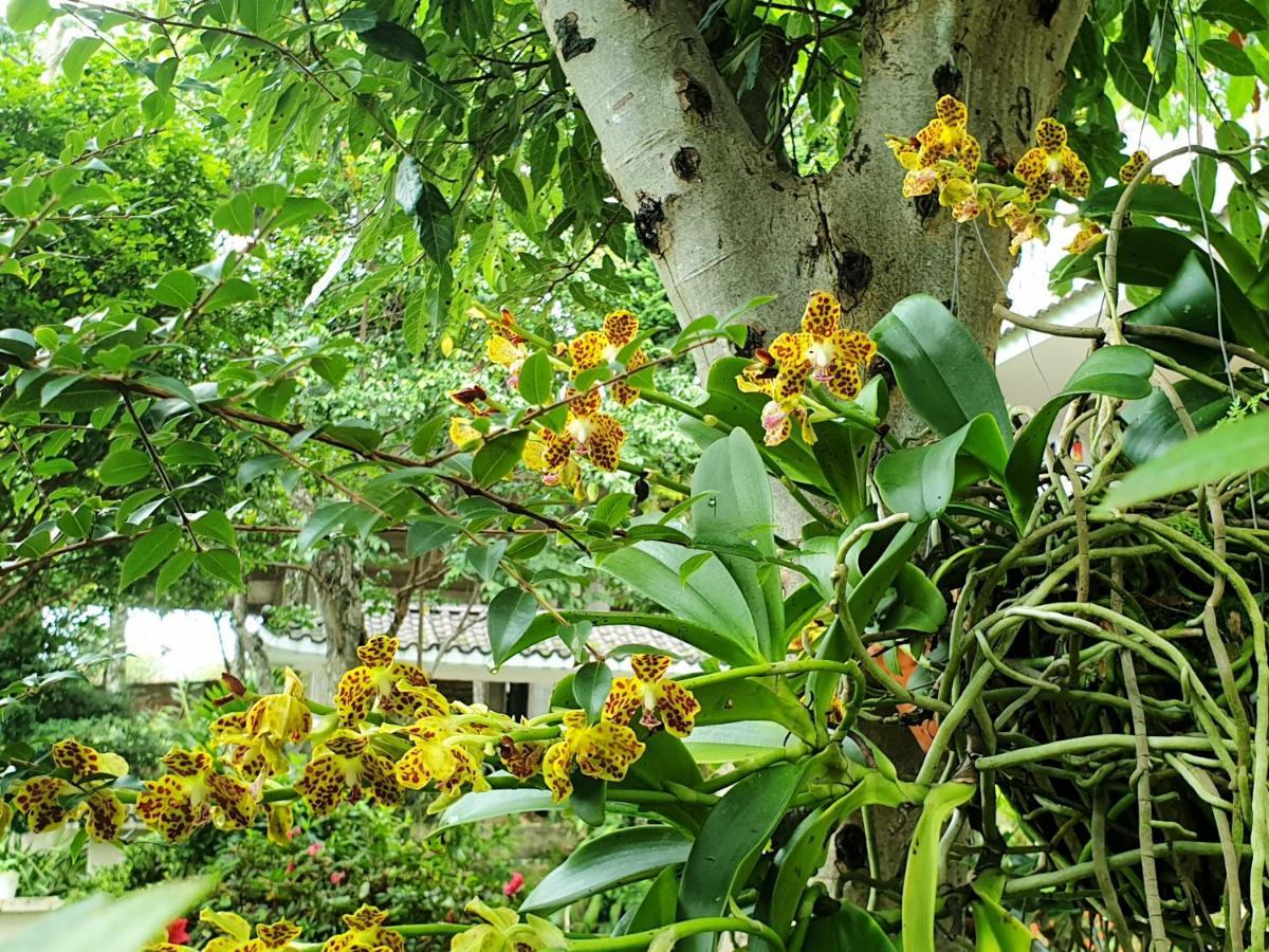 Villa Dieu Thong - Secrect Garden, view săn mây và núi Da Lat Exterior foto